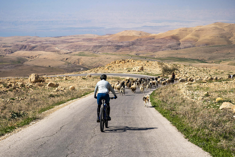 Madaba: Tour guidato in bicicletta da Nebo a Mukawer