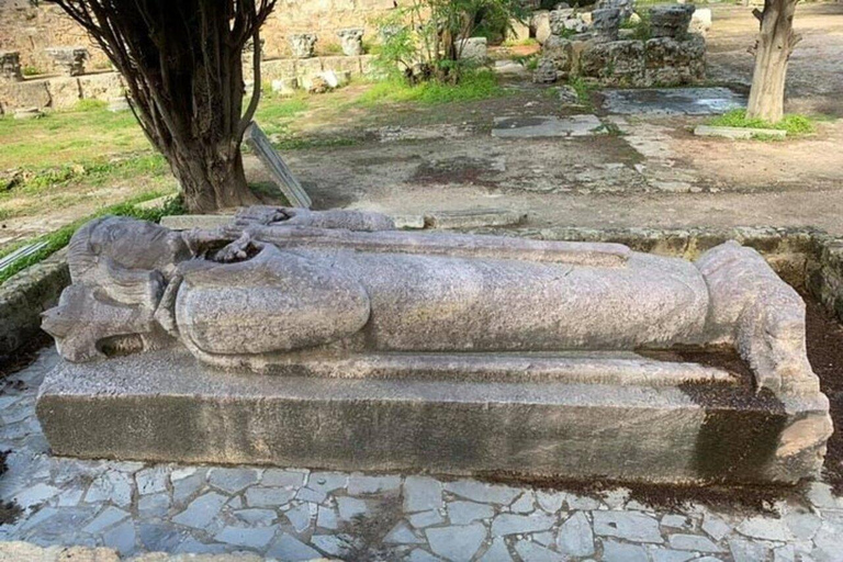 Excursión de un día Túnez Cartago Bardo desde Hammamet