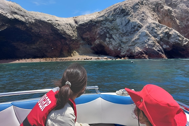 From Paracas: Ballestas Island Marine Wildlife Watching