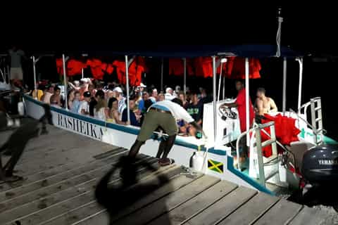 Jamaica: Dunn's River Falls, 9 Mile and Optional Lagoon Tour