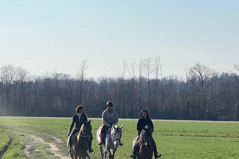 Varese: Horseback Riding through Woodlands and Meadows with Lunch in Fagnano Olona Lunch