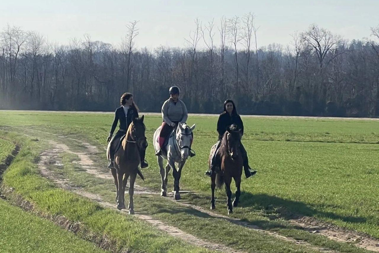 Varese: Horseback Riding through Woodlands and Meadows with Lunch in Fagnano Olona Lunch
