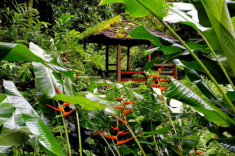 Circuit à la découverte de la Martinique : le Nord Caraïbe