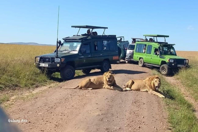 Dagstur i Masai Mara och besök i Masai Village