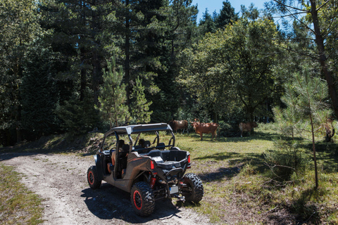 4h de Buggy Tour - Arcos de Valdevez - Peneda Gerêsbuggy 4 pax