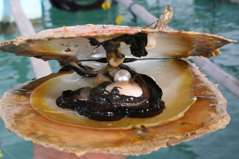 Phuket: Half-Day Morning City Tour with Local Factory