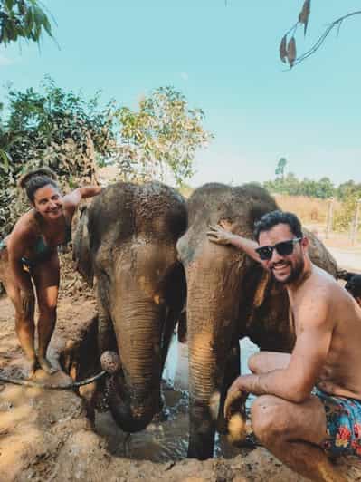 Cambodia Elephant Sanctuary and Banteay Srey Temple Tour