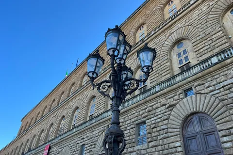Combinatietickets David, Palazzo Pitti & Tuinen