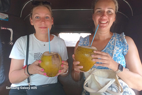 Colombo: Tuk Tuk City Highlights Tour with guide
