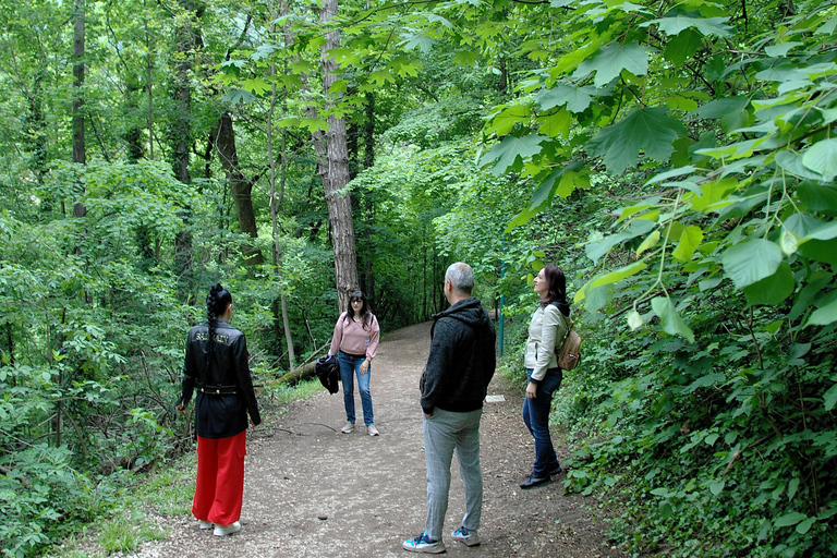 The Medieval Brașov, Legends, Remedies & Folklore Creatures
