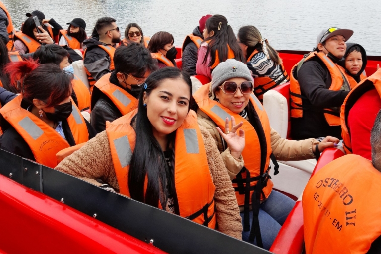 Z Limy:Prywatna wycieczka do Paracas i Ica z all inclusive