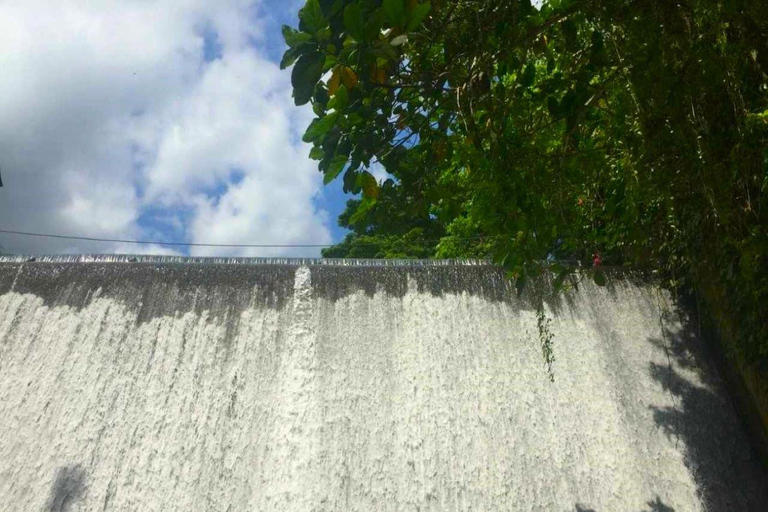 Manila: Villa Escudero: Tour di un giorno con pranzo Trasferimenti PRIVATI