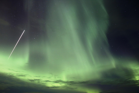 Akureyri: Tour della laguna della foresta e dell&#039;aurora boreale