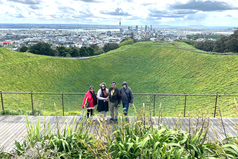 Tour di mezza giornata dei luoghi più interessanti della città di Auckland (tour per piccoli gruppi)