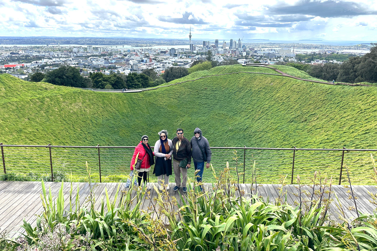 Visite d&#039;une demi-journée à Auckland City Top Spots (visite en petit groupe)