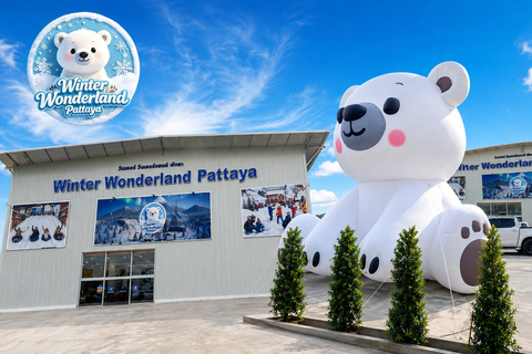 Pattaya: Winter Wonderland Real Snow Park Entry Ticket