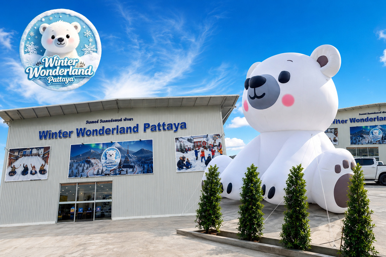 Pattaya: Winter Wonderland Real Snow Park Entry Ticket