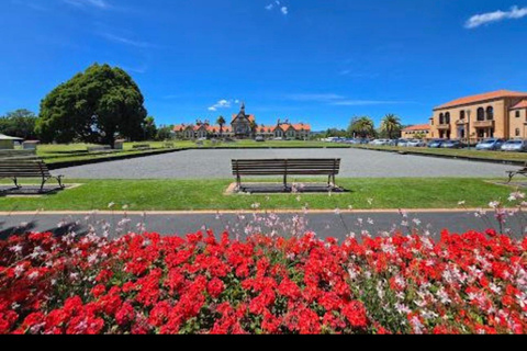 From Auckland: Rotorua Lakes, Redwood & Geothermal Day Trip
