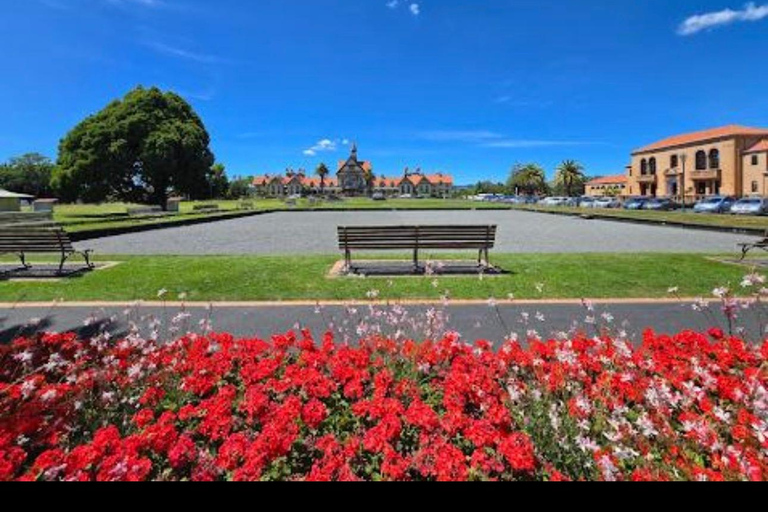 From Auckland: Rotorua Lakes, Redwood & Geothermal Day Trip