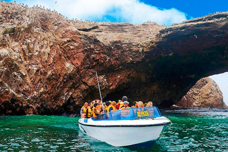From Lima:Private tour to Paracas and Ica with all-inclusive