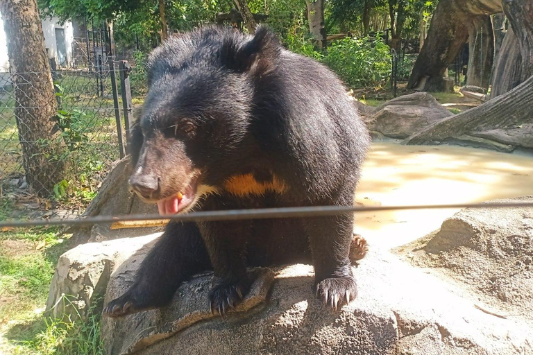 Phnom Penh: Boeddha Kiri en Phnom Tamao Zoo Privé Dagtrip