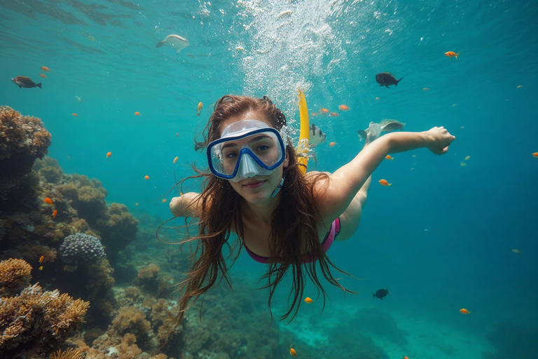 Plongée dans le lagon d&#039;El Gouna et plongée avec les dauphins, avec déjeuner