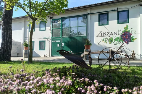 Romagna: Tour del vino con il vignaiolo