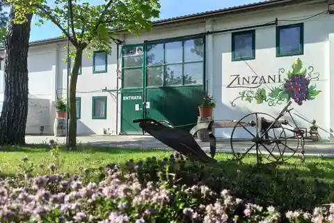 Romagna: Wine Tour with The Winemaker
