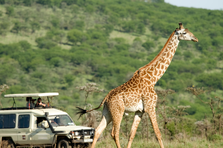 Kenya & Tanzania: 18-Day Safari with Zanzibar Beach Stay