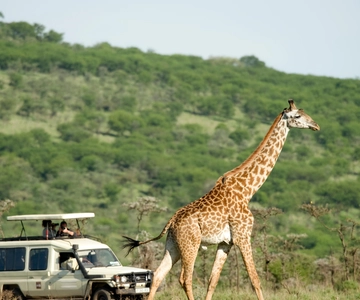 Quénia e Tanzânia: Safari de 18 dias com estadia na praia de Zanzibar