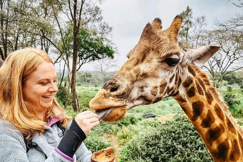 Sheldrick orphanage,Giraffes centre and Bomas Free Tour Sheldrick animal orphanage Tour.