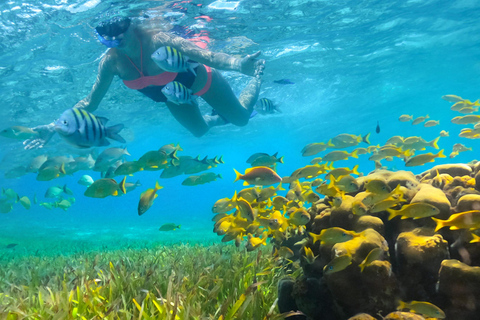 Van Cancun en RivieraM: zeilen en snorkelen naar Isla MujeresLuxe catamaran, snorkelen en bezoek aan Isla Mujeres