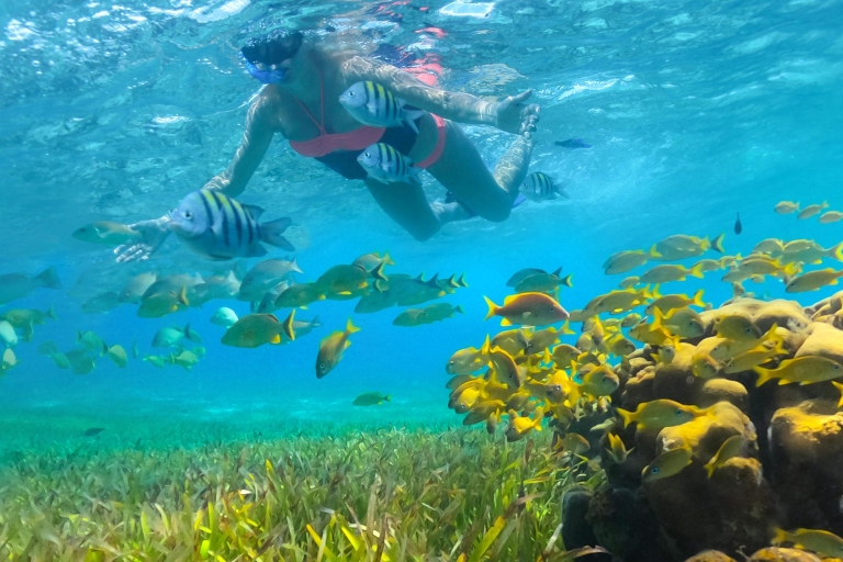Desde Cancún y RivieraM: Navegación y snorkel a Isla MujeresCatamarán de lujo, snorkel y visita a Isla Mujeres