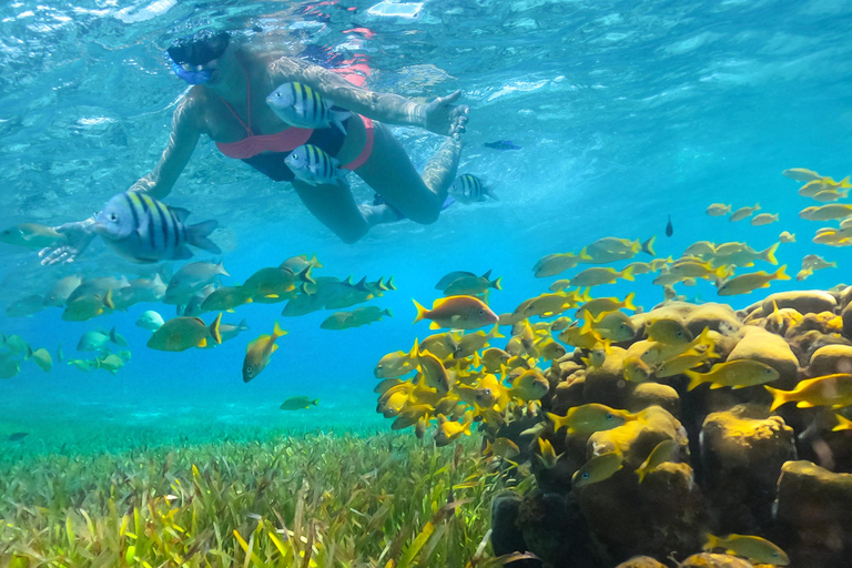 Desde Cancún y RivieraM: Navegación y snorkel a Isla MujeresCatamarán de lujo, snorkel y visita a Isla Mujeres