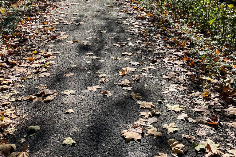 Strasbourg: Segway tour, urban nature