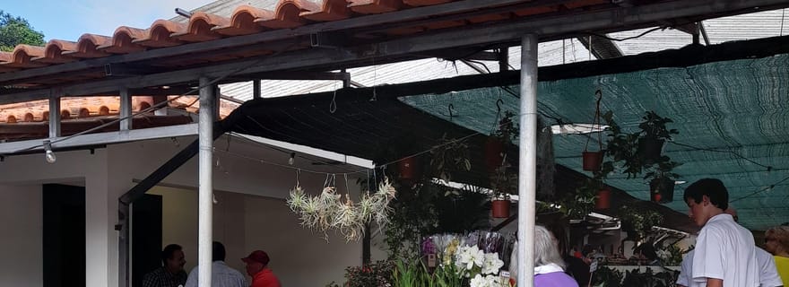 Madère : Marché du dimanche à Santo da Serra