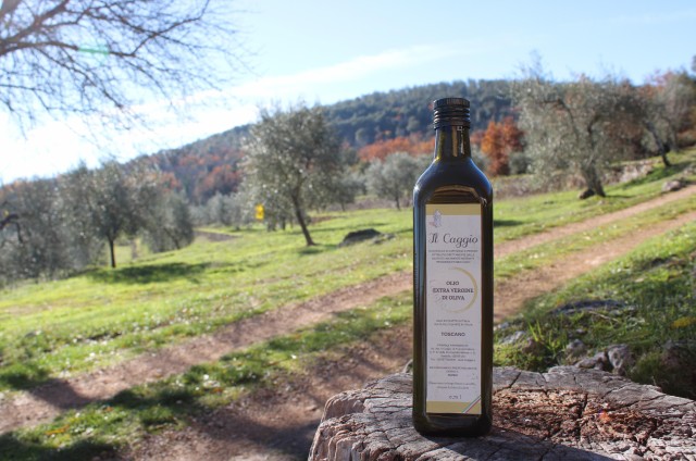 Visit Siena EVO oil experience with walk, tasting and lunch in Sassofortino