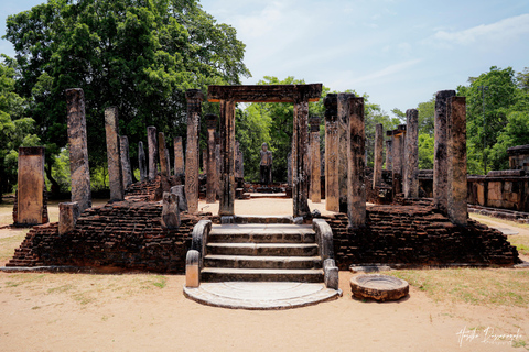 Polonnaruwa: Ancient City Tour & Minneriya Elephant Safari Pickup From Dambulla/Sigiriya/Habarana