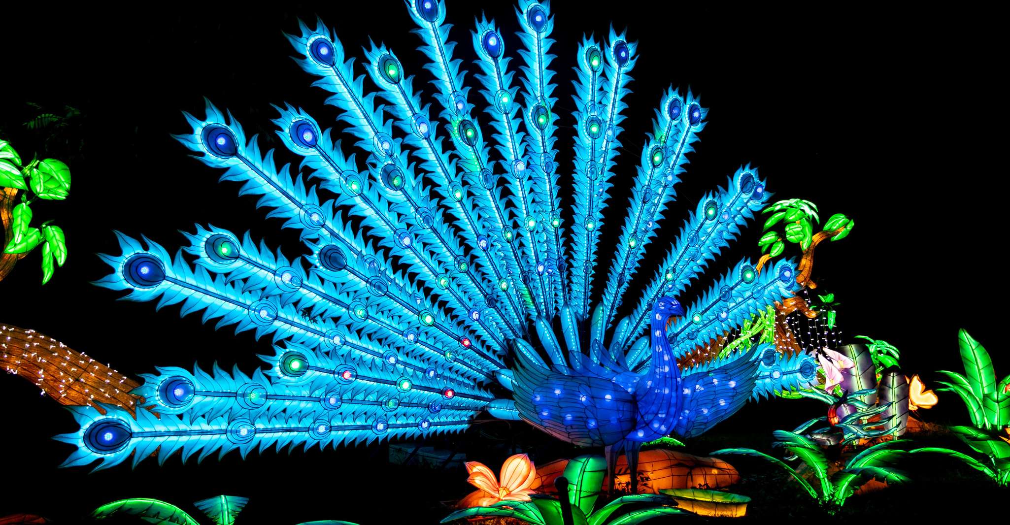 Houston, Radiant Nature Vacances Lumières Expérience Billets - Hizvo
