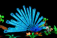 Houston, Radiant Naturaleza Luces Vacaciones Experiencia Entradas - Hizvo