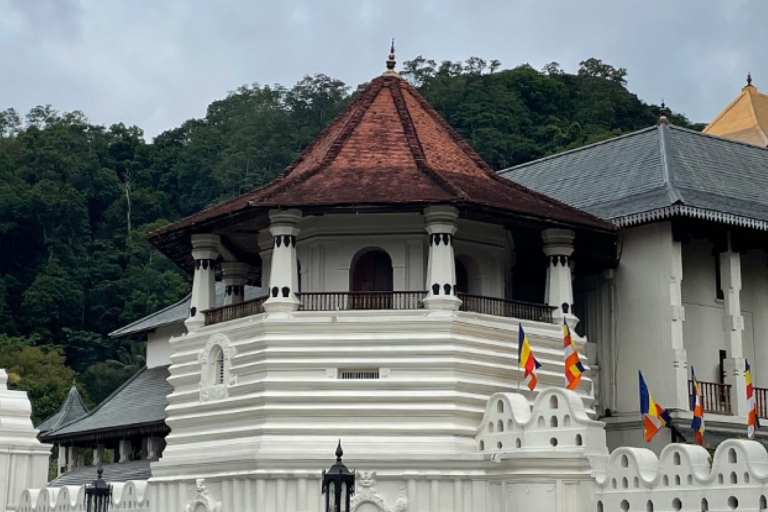 Kandy Scavenger Hunt and Sights Self-Guided Tour Tour