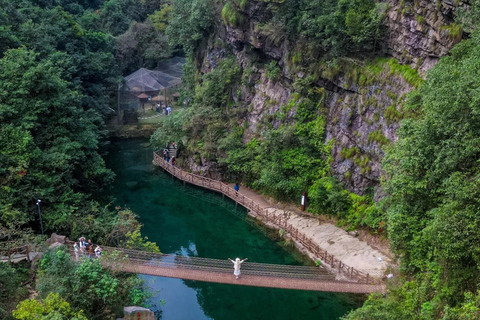 Hangzhou: Tea Picking, Tea Hills Hike & BBQ