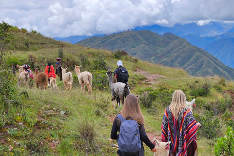 Chinchero, Moray, Maras & Picnic con Llamas From Cusco: Moray, Maras Salt Mines, and Chinchero with …