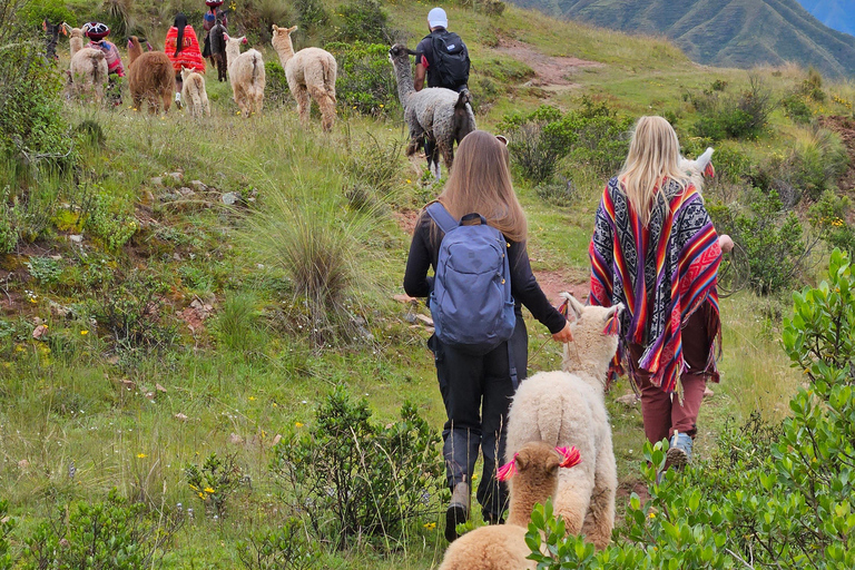 Chinchero, Moray, Maras &amp; Picnic con LlamasFrom Cusco: Moray, Maras Salt Mines, and Chinchero with …