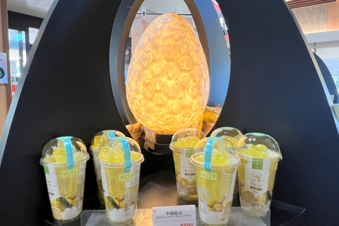 Från Tokyo: Fuji-berget eller Hakone Sightseeing Privat dagstur