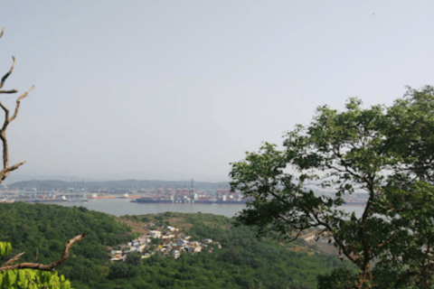 Elephanta Caves Half Day Guided Tour Private Tour from Mumbai Port