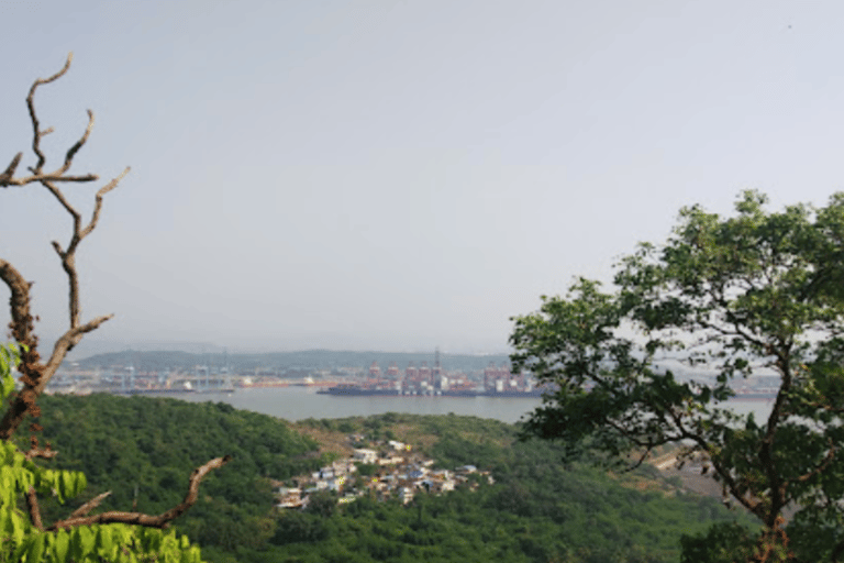 Elephanta Caves Half Day Guided Tour Share Group Tour with Meeting Point