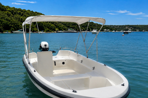 Private Boat Experience without a License with Breakfast in Antibes