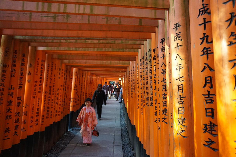 Tour giornaliero Osaka Kyoto con prelievo gratuito