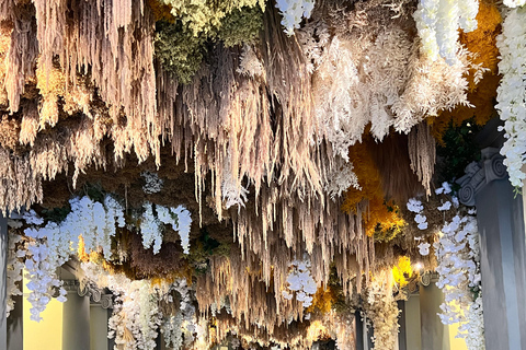 Florence: Guided Tour Europe's oldest pharmacy